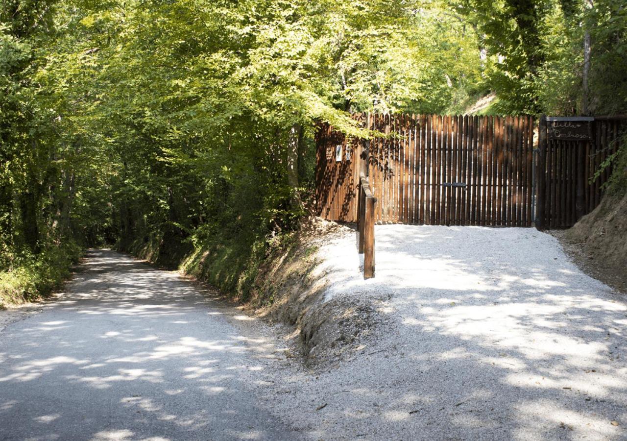 Dolf - Villa Ombrosa Isola  Exterior photo